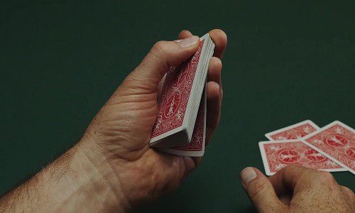 16909068932919.jpg