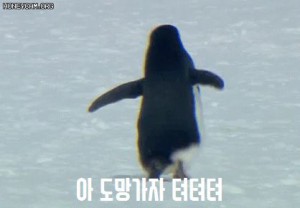 16880014596518.jpg