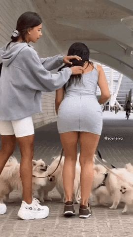 16880017346541.jpg