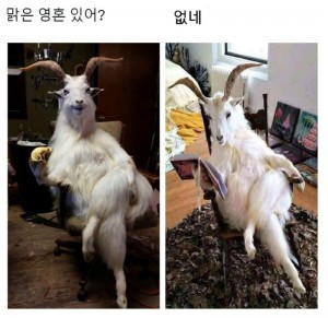 16880018660135.jpg