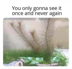 1688001914122.jpg
