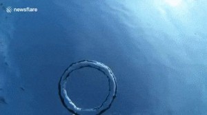 16880020656636.jpg